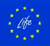 Life -Logo