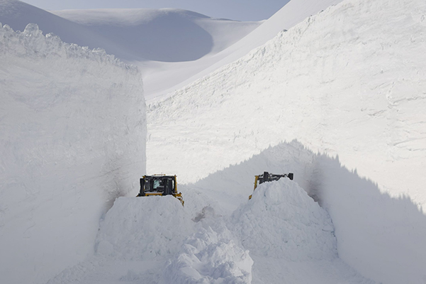 MELT_Still1_CNGF-1-(c) Stadtkino Filmverleih 600x400